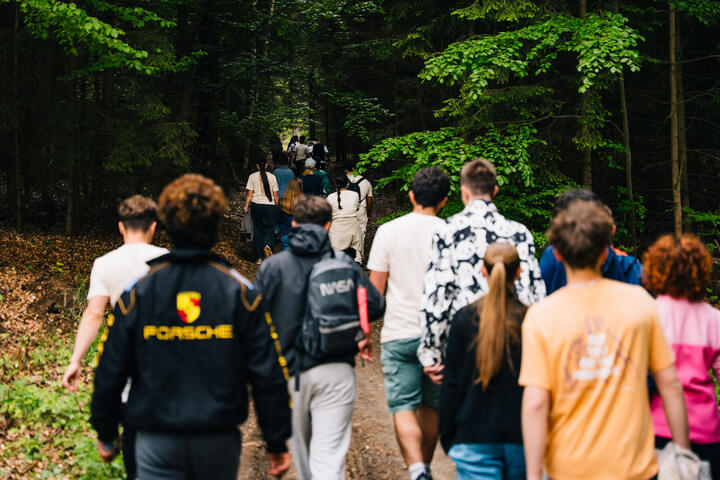 Job Jam Day 7: forest walk